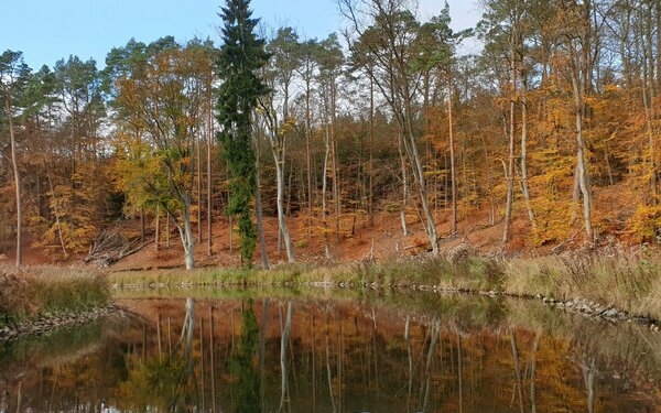 Naturpark Stechlin- Ruppiner Land, Bernsee, Foto: SuseB010487 (Susanne Bernsee) - Own work, CC BY-SA 4.0, https://commons.wikimedia.org