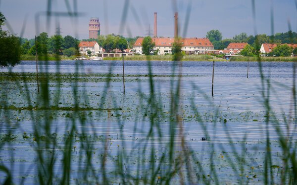 Blick über den Breitlingsee nach Kirchmöser, Foto: Andreas Lippold, CC BY-SA 4.0, https://commons.wikimedia.org