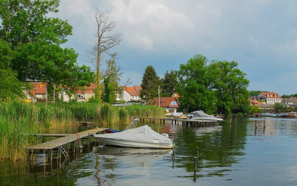 Ufer am Teupitzer See, Foto: J.-H. Janßen, CC BY-SA 4.0, https://commons.wikimedia.org
