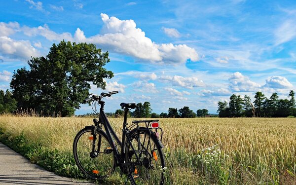 Eine Radtour im Havelland, Foto: Wellox, pixabay.com
