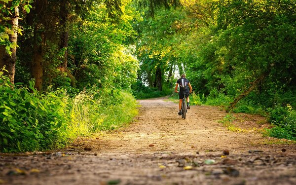 Radtour , Foto: Tama66, pixabay.com