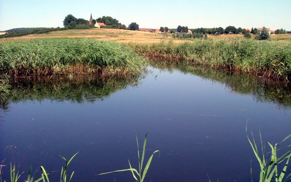 Binnensalzwiese bei Sülten, Foto: Geolina163, CC BY-SA 3.0, https://commons.wikimedia.org
