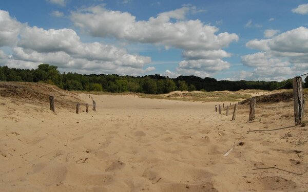Boberger Düne, Foto: ShuraSchädling, CC BY-SA 3.0, https://commons.wikimedia.org