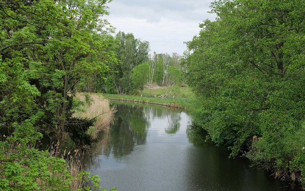 Alter Rhin im Oberen Rhinluch, Foto: Leonhard Lenz, CC0, https://commons.wikimedia.org