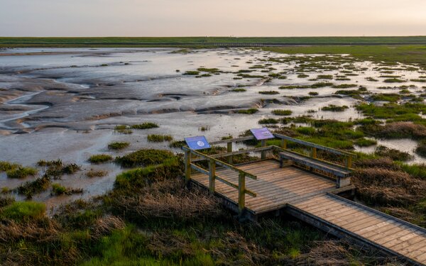 Langwarder Groden, Foto: Tourismus-Service Butjadingen