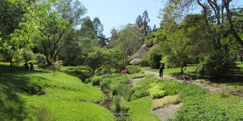 Botanischer Garten Rostock, Foto: Joachim Kloock