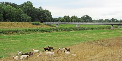 Brücke über die Weiße Elster, Foto: terra press GmbH