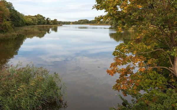 Moorteich, Foto: Unukorno, CC BY 4.0, https://commons.wikimedia.org