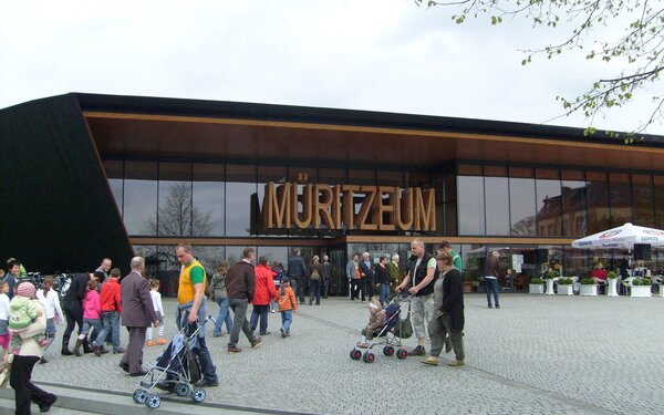 Müritzeum in Waren Müritz, Foto: Müritzeum gGmbH, CC BY-SA 3.0, https://commons.wikimedia.org