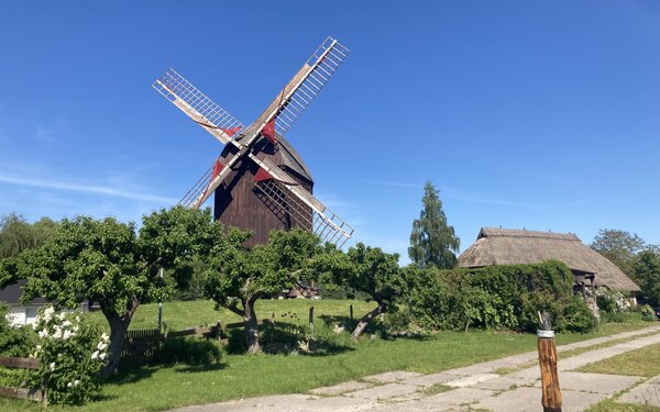 Ansicht der Eldenaer Mühle mit der Kunstscheune im Hintergrund, Foto: Martin Weidemeier