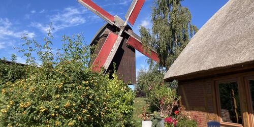Die rot betakelten Flügel stehen im Wind, Foto: Martin Weidemeier