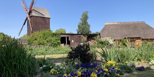 Bunte Frühlingsgrüße von der Eldenaer Bockwindmühle, Foto: Martin Weidemeier