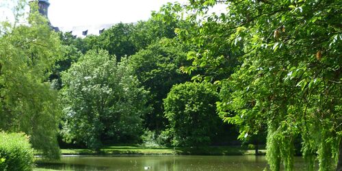 Schlosspark Sondershausen, Foto: HieRo GlyPhe, CC BY-SA 3.0, https://commons.wikimedia.org