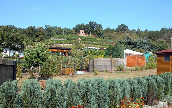 Am Ratsberg Weinböhla, Foto: Jörg Blobelt, CC BY-SA 4.0, https://commons.wikimedia.org