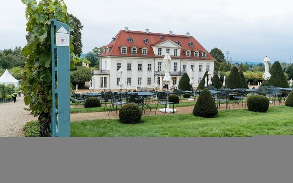 Weinbergswanderung am Schloss Wackerbarth, Foto: Radler59, CC BY-SA 3.0, https://commons.wikimedia.org