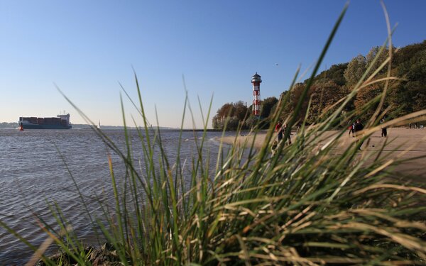Strand Wittenbergen  Engelschall