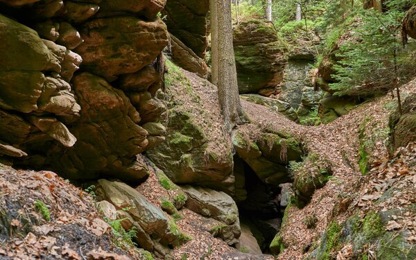 Teufelsgrund bei Dorf Wehlen, Foto: Sebastian Thiel, Lizenz: Tourismusverband Sächsische Schweiz e.V.