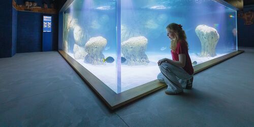 Besucherin im Aquarienrundgang MEERESMUSEUMs, Foto: Anke Neumeister/Deutsches Meeresmuseum