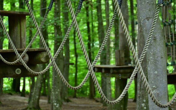 Parcour im Waldseilpark, Foto: RitaE-pixabay.com