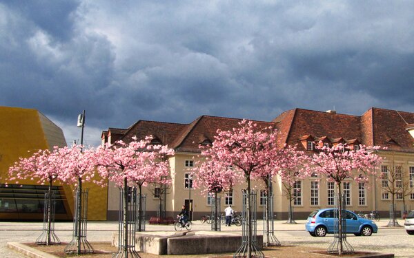 Stadtbibliothek, Foto: Hans Parnitzke, CC BY-SA 3.0, https://commons.wikimedia.org