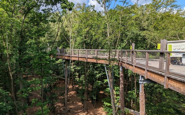 Baumwipfelpfad, Foto: Maddl79, CC BY-SA 4.0, https://commons.wikimedia.org