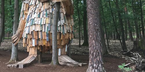 Waldemar im Barfußpark