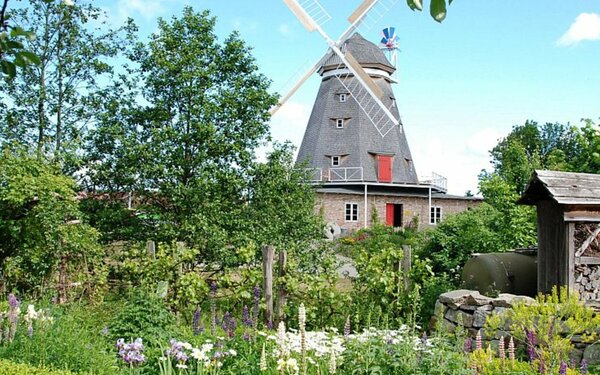 Foto: Archiv Zoo Stralsund