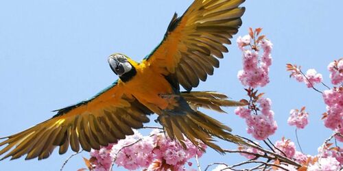 Foto: Archiv Zoo Stralsund