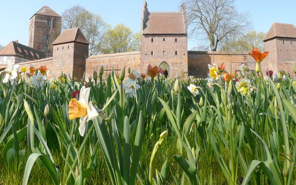 Stadtmauer mit Alter Bischofsburg, Foto: Foto: terra press Berlin