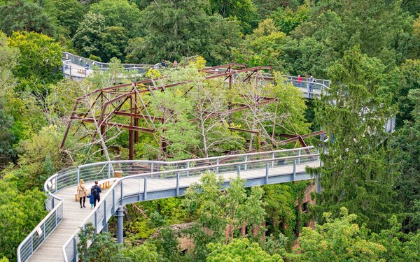 Baum&Zeit Baumkronenpfad, Foto: Annabell Bartels, Lizenz: Tourismusverband Fläming e.V.