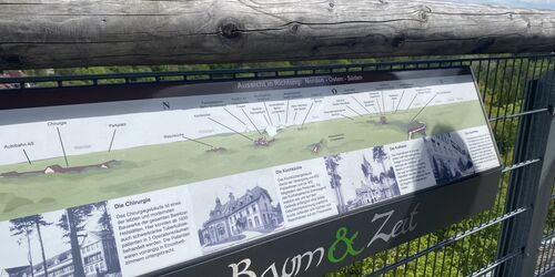 Aussichtsplattform, Foto: Tina Pantke, Lizenz: Tourismusverband Fläming e.V.