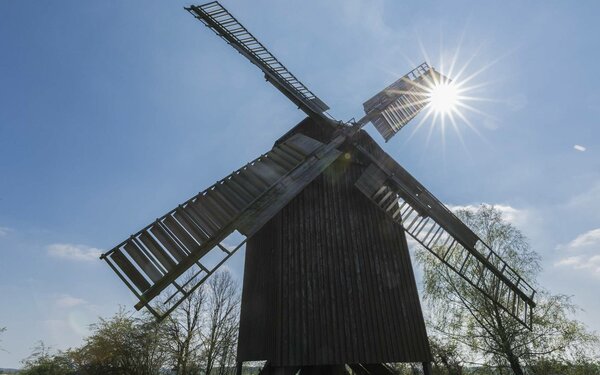 Bockwindmühle in Borne, Foto: Steffen Lehmann, Lizenz: TMB-Fotoarchiv