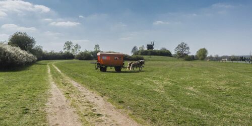 Pferdekutsche an der Bockwindmühle in Borne, Foto: Steffen Lehmann, Lizenz: TMB-Fotoarchiv