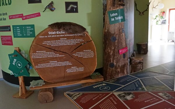 Im Waldhaus am Bergwitzsee, Foto: @ Monika Pölitz