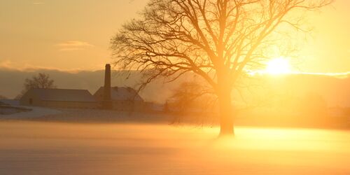 Winter, Foto: Jann Barkemeyer, Lizenz: Vielfruchthof Domstiftsgut Mötzow