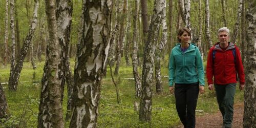 Wanderer im Birkenmoorwald, Foto: MV-T/outdoor-visions.com