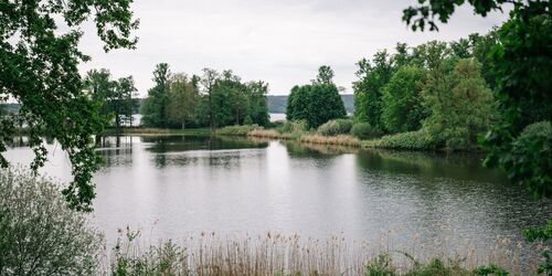 Gutspark Petzow - Haussee, Foto: Steven Ritzer, Lizenz: Tourismusverband Havelland e.V.