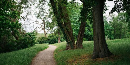 Weg im Gutspark Petzow, Foto: Steven Ritzer, Lizenz: Tourismusverband Havelland e.V.