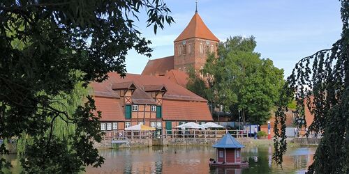Blick über den Mühlenteich, Foto: Jana Koch