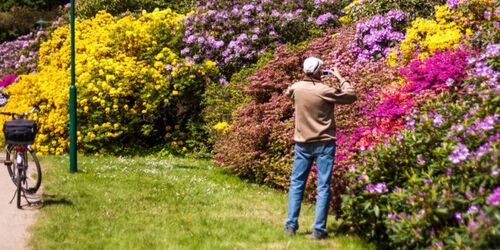 Rhododendronpark, Foto: VMO, Alexander Rudolph