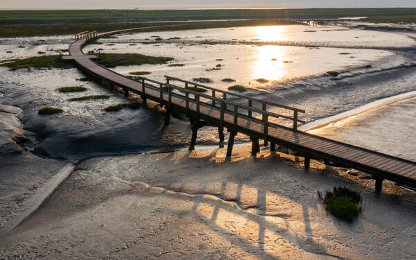 Bohlenweg, Langwarder Groden, Foto: Tourismus-Service Butjadingen