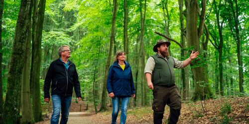 Rangerführung im Nationalpark-Zentrum KÖNIGSSTUHL, Foto: Nationalpark-Zentrum KÖNIGSSTUHL / Dan Petermann