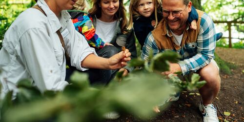 Nahaufname Familie bei einer Fuehrung, Foto: Nationalpark-Zentrum KÖNIGSSTUHL / Dan Petermann