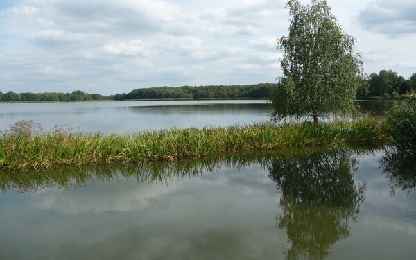 Hammerteich Lindena, Foto: TVEEL, Lizenz: TVEEL