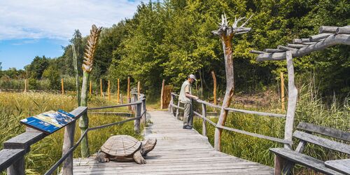Sumpfschildkrötenanlage, Foto: Redek Kurzej, Lizenz: Redek Kurzej