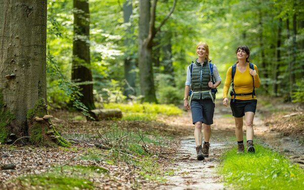 Wandern im Lüßwald, Foto: Dominik Ketz, www.lueneburger-heide.de, CC BY-SA