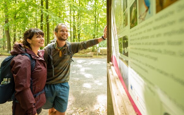 Wandern auf dem Wald-Erlebnis-Pfad „Der Urwald im Lüß“, Foto: Dominik Ketz, www.lueneburger-heide.de, CC BY-SA