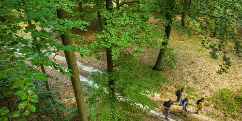 Wandern im Lüßwald, Foto: Dominik Ketz, www.lueneburger-heide.de, CC BY-SA