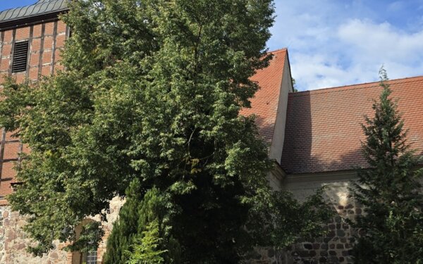 Kirche Nechlin, Foto: Christin Queitzsch