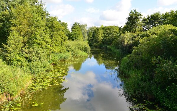 Ucker kurz hinter dem Oberuckersee, Foto: C. Löser - Own work, CC BY 3.0 de, https://commons.wikimedia.org